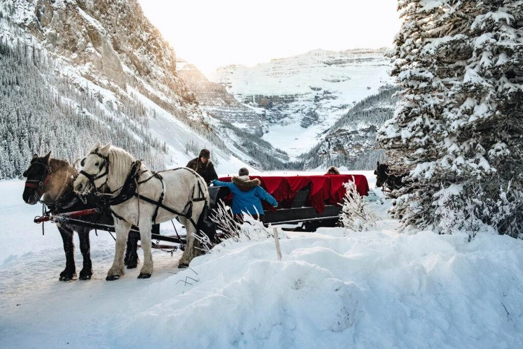 people near wagon with forest snowy forest near lake louise canada